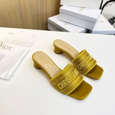 Christian Dior Slippers